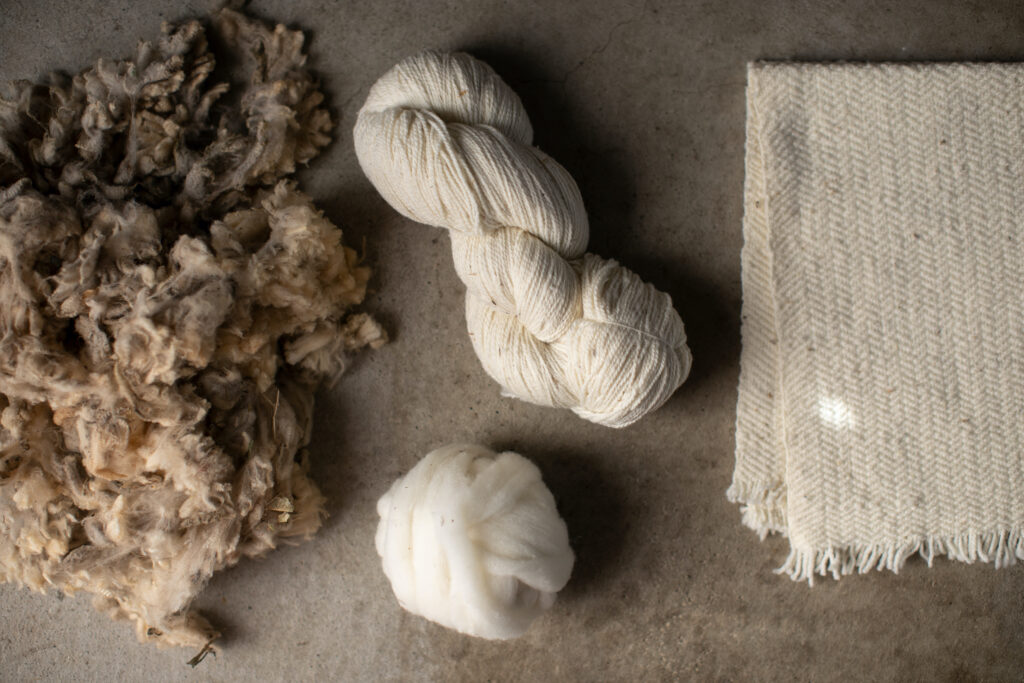 Workshop Werken met Wol, Leidse Deken ism Beatriz Isca