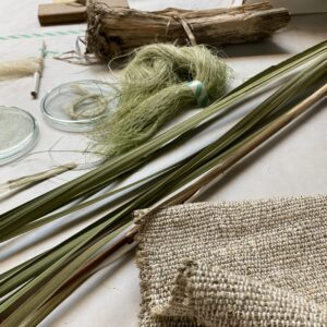 Lisdodde, draagt positief bij aan een gezonde bodem en kan worden verwerkt tot plantaardig textiel. 