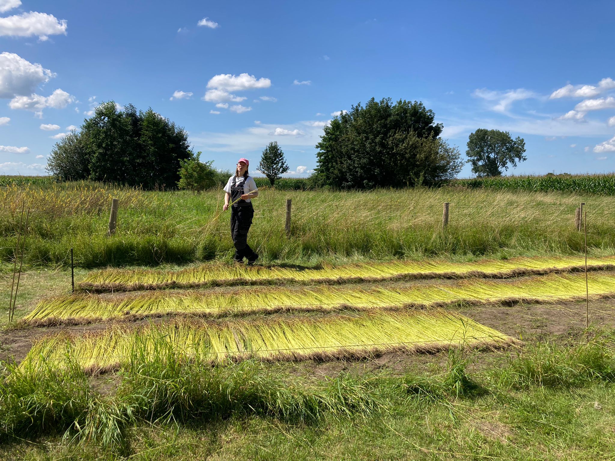 Joline Jolink tussen vlas onder een blauwe hemel.